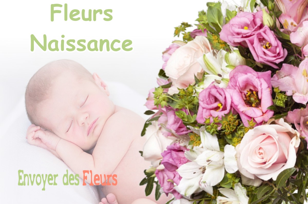 lIVRAISON FLEURS NAISSANCE à AUTRECHES